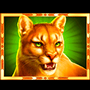 Cougar